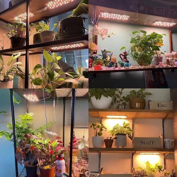 Grow Light, 20W Ultra-Thin LED Grow Lights for Indoor Plants Full Spectrum, 6/10 - Picture 8 of 9